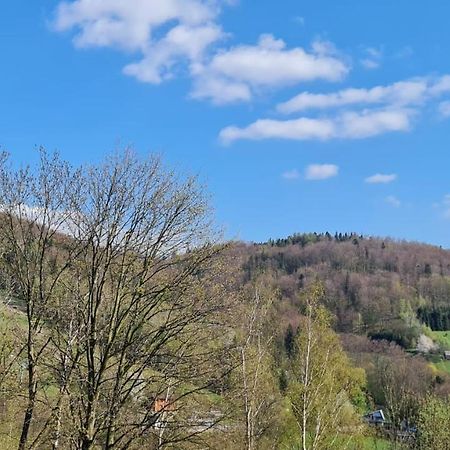 Apartament Lemon Ustroń Zewnętrze zdjęcie