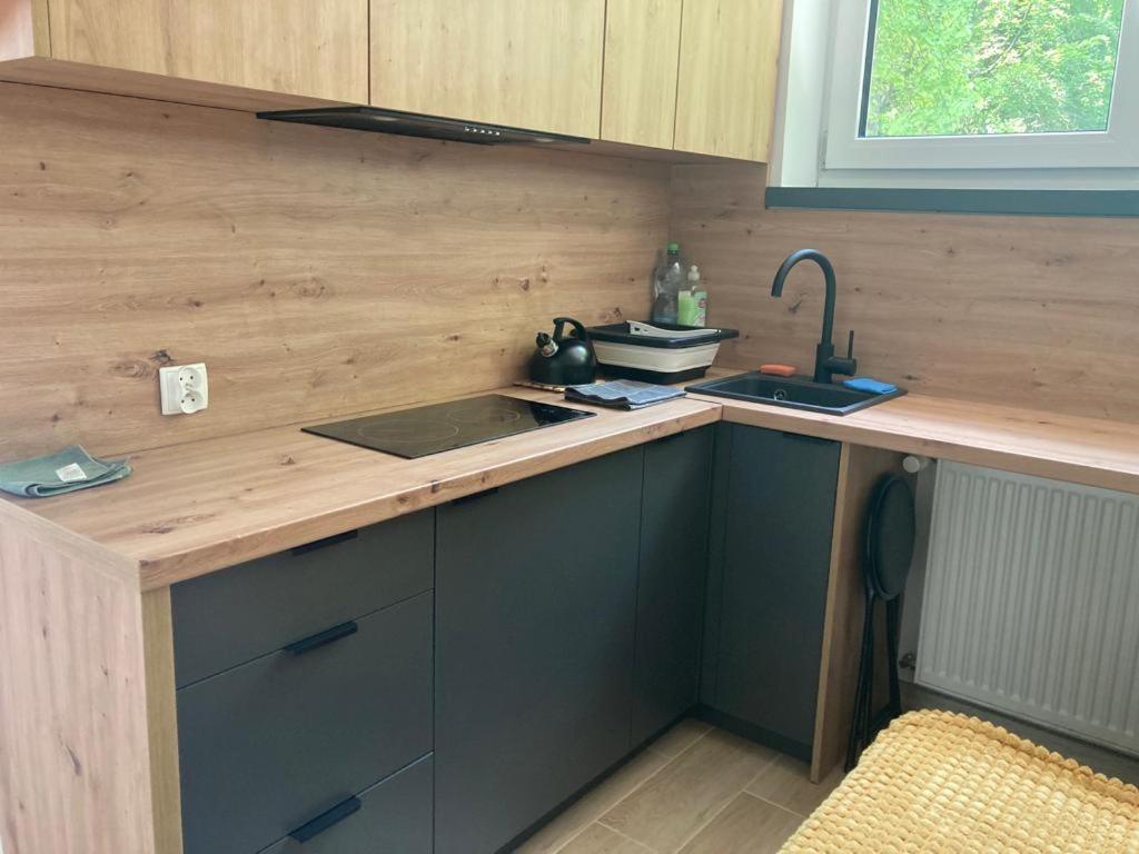 Apartament Lemon Ustroń Zewnętrze zdjęcie